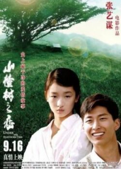 Chuyện Tình Cây Táo Gai