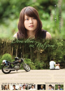 Đom Đóm Của Natsumi