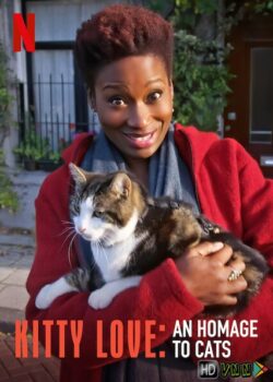 Kitty Love: Mèo Cưng Nhà Mình
