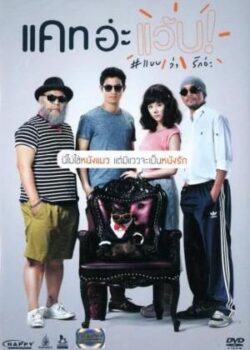 Mèo Mai Mối