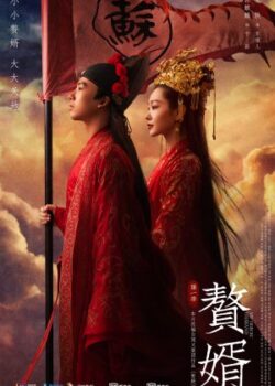 Ở Rể: Cát Hưng Cao Chiếu
